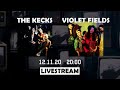 Strocktv livestream 24 with the kecks and violet fields