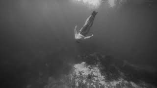 Black and White Ocean