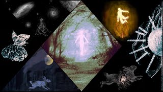 Okyliela - Animation  Okyliela - Animation