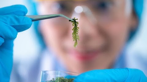 What is Blue Biotechnology - 2 Minutes Microlearning