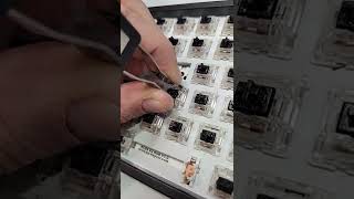 Properly remove switch from hot swap socket mechanical keyboard