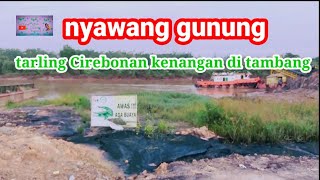 Download Lagu NYAWANG GUNUNG. TARLING CIREBONAN INDRAMAYU TENGDUNG // NYAWANG GUNUNG. // LOKASI TAMBANG PT BMK MP3 Download Lagu NYAWANG GUNUNG. TARLING CIREBONAN INDRAMAYU TENGDUNG // NYAWANG GUNUNG. // LOKASI TAMBANG PT BMK MP3