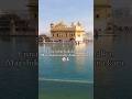 Sabar, shukar, sukoon 🌼 #waheguruji #peace #gurudwara #viral #travel #youtube #shorts #goldentemple