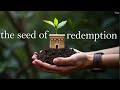 The Seed of Redemption 🌱 Acapella Song The 3 Weeks, Jewish Reggae Song, Am Yisrael Chai! עם ישראל חי