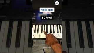 Download Lagu Nokia Tune Easy Piano Tutorial #nokia #pianolessons #piano #pianocover MP3