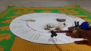 Growing Pains 🦴 / Your Spiritual Knowledge Is Increasing (Bone Reading)