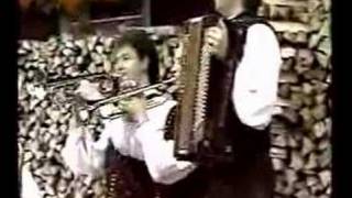 Kathreiner Musikanten - Auf der Alm