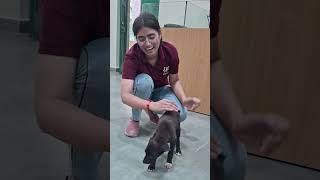 And here’s how AdRyter went from a co-working space to its own office…