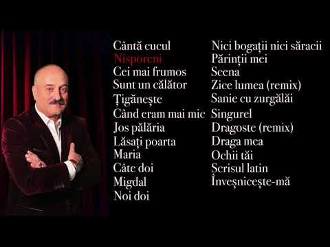 Gheorghe Topa - Hiturile anilor 1990-2020 [Partea 2]