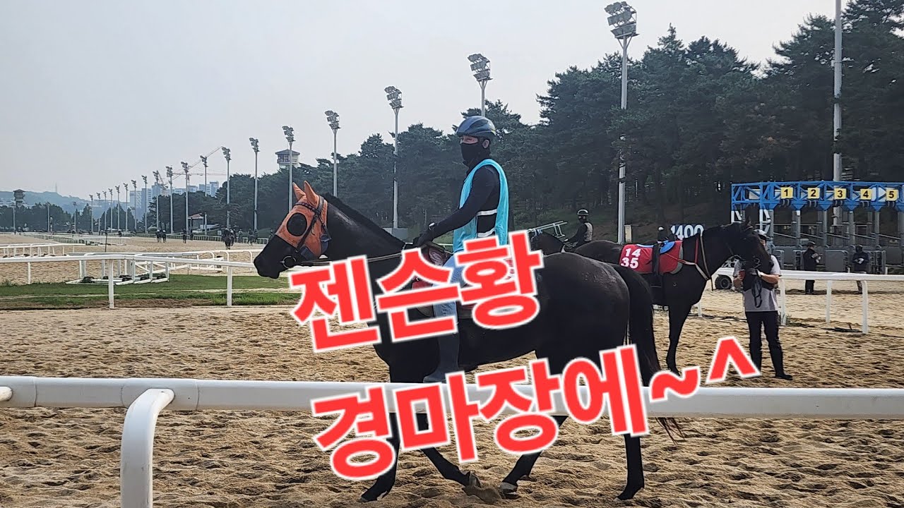 젠슨 황 경마장에