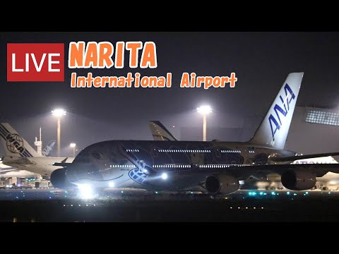 🔴LIVE at NARITA International Airport Plane Spotting 2023.02.11 成田空港ライブカメラ 成田空港 NRT/RJAA