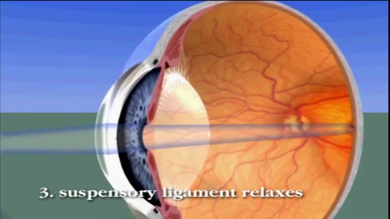 You can see clearly without glasses(Beware science Ahead)//.Hindi(हिंदी)