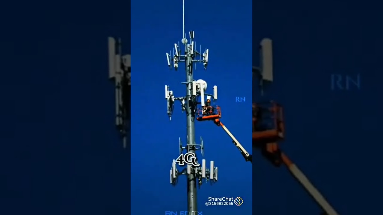 Do not bird kill please 🙏🙏 kill mobile phone sim tower 2G 3G 4G 5G 