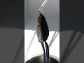 SPRO BRONZEYE SPIT SHAD #shorts