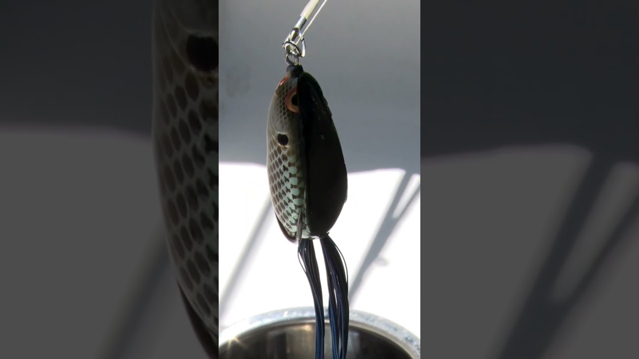 SPRO BRONZEYE SPIT SHAD 