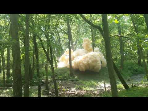 13lbs tannerite takes a tree down #tannerite #explode #explosion