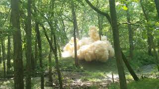 13lbs tannerite takes a tree down #tannerite #explode #explosion