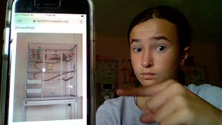 Using a bird Craigslist add and helping you, help your bird!