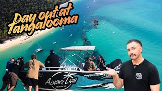 Tangalooma Ship Wreaks - Always Livin Special