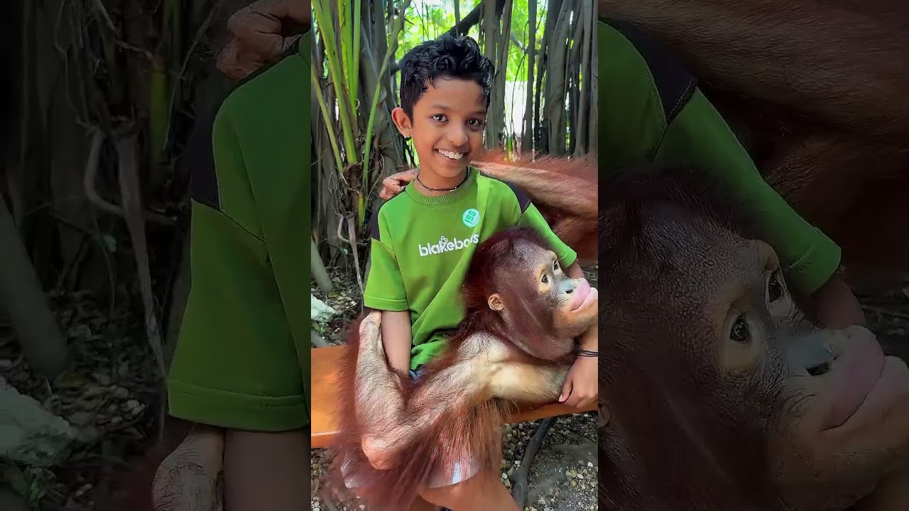 Chiku became friends with Smart Hanuman