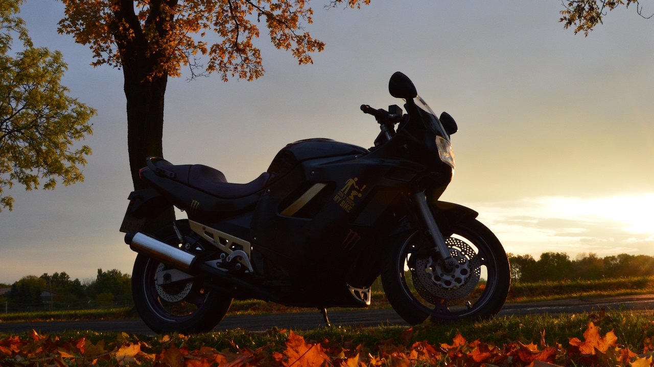 Versuche 10 kils? Bioseuche