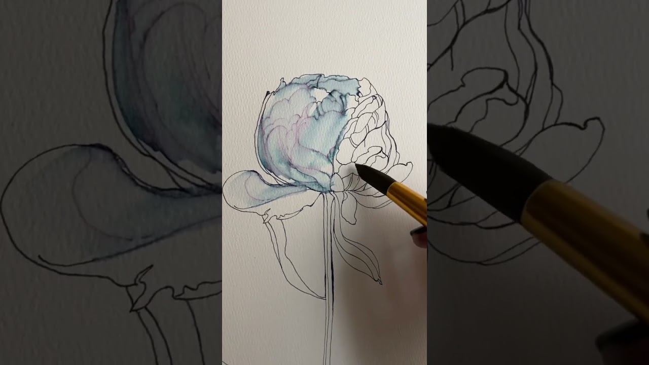 Как нарисовать пион чернилами 