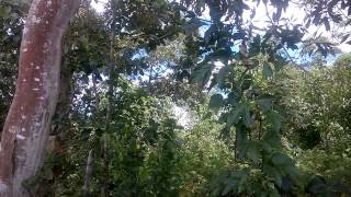 WP 20150408 001