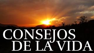 Los Mejores Consejos De La Vida ¦ #reflexiones #vida