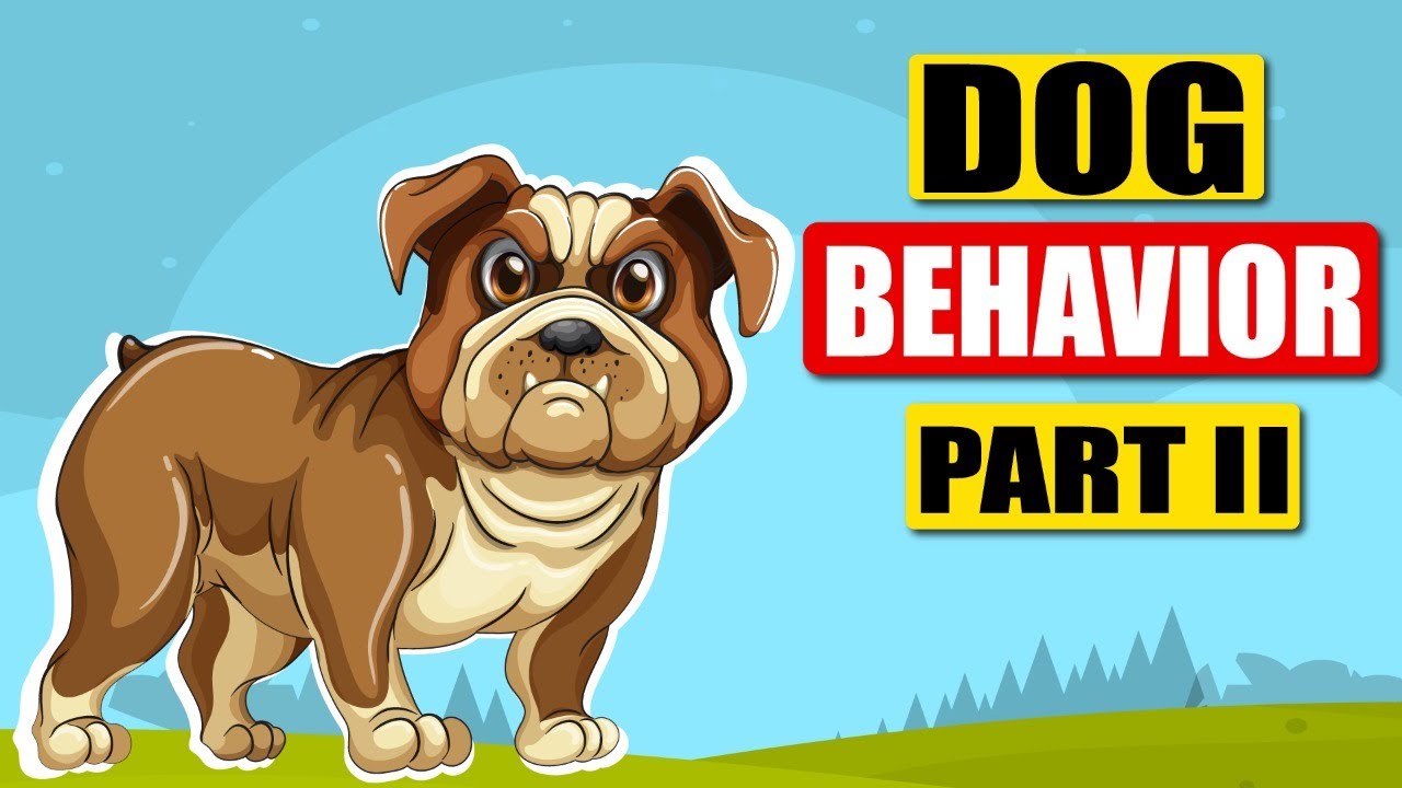 Dogs Behavior Explained Part 2