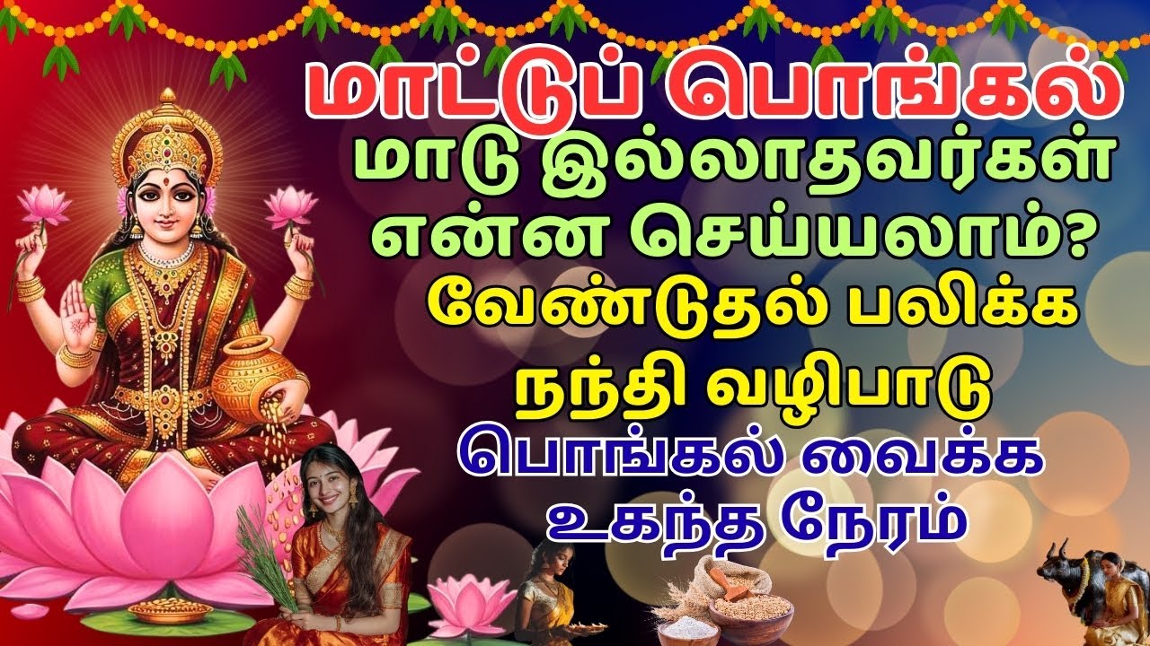 மாட்டு பொங்கல் வைக்க உகந்த நேரம் & நந்தி வழிபாடு Mattu Pongal vaika ukantha neram | nandi valipadu