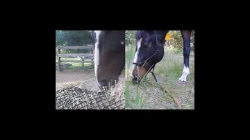 Efficient and Eco-Friendly: Introducing Advanced Hay Net Technology