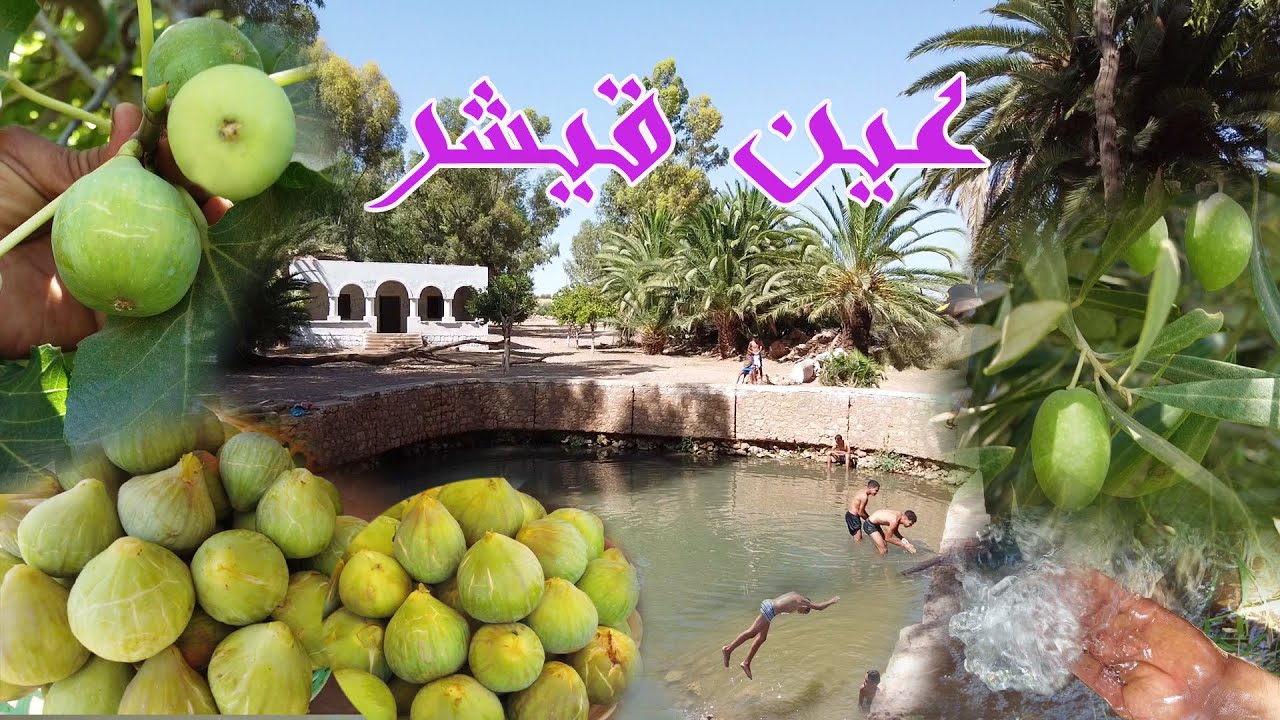 وثائقي.. عين قيشر قرب مدينة وادزم أجي تشوف بلادك 06/08/2023