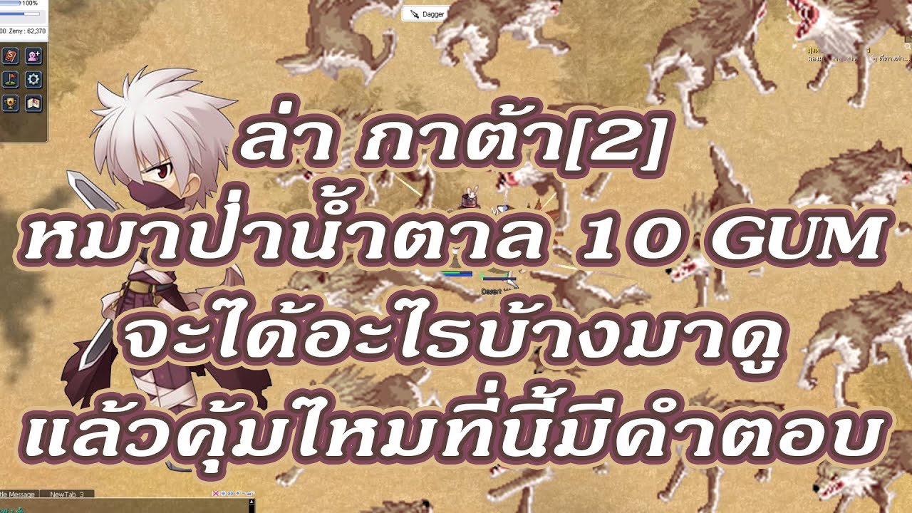 ragnarok classic ro ล่า katar[2] หมาน้ำตาล desert wolf 10 GUM จะได้อะไร ...