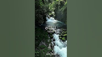 [ سورة: الإخلاص | surah: ekhlas ]  #قران_كريم  #قرآن #اكسبلور #الحياة #لايك #تلاوة_خاشعة #quran