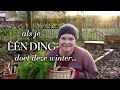 De moestuin winterklaar maken  wat de winter me leert  tuindagboek 12