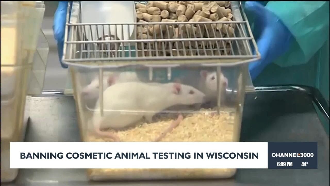 Законодатели внесли законопроект, который запретит тестирование на животных в косметических целях.