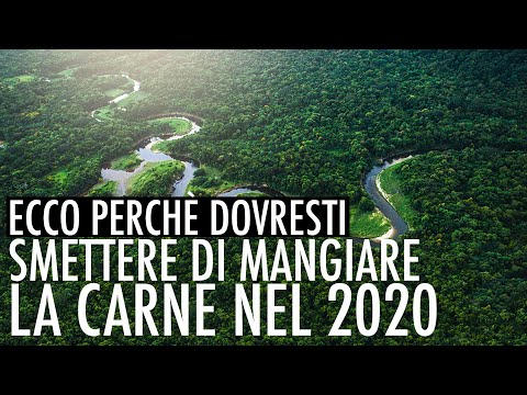 Video: Non Dovresti Mangiare Carne?