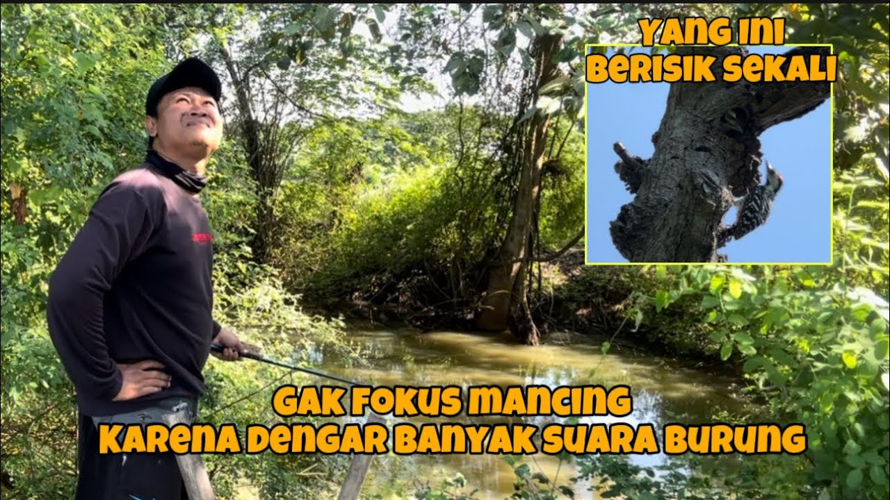 Ketika dua hobi jadi satu, betapa senang sekali hari ini, dapat banyak point 😁