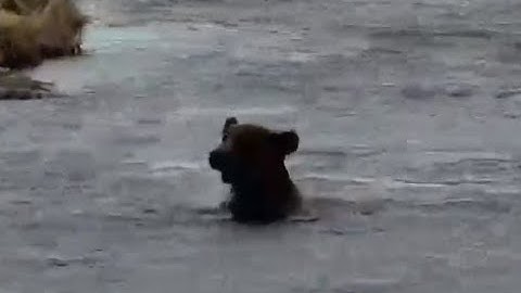 geoguessr daily challenge #1