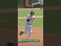 Your ACC Player of the Week, Alex Sosa 🙌 #collegebaseball #ncaabaseball #baseball #sports #miami