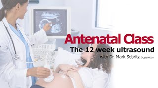 The 12 week scan screenshot 4
