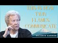 7 Types Of Twin Flame Telepathy  Dolores Cannon