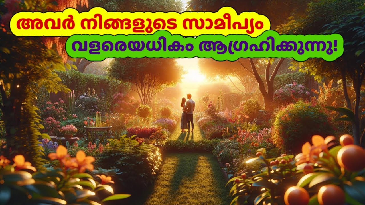 അവർ നിങ്ങളുടെ സാമീപ്യം വളരെയധികം ആഗ്രഹിക്കുന്നു! | #tarot #love #breakup #111