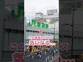 この看板の大きさ気が気になる！