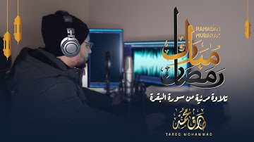 رمضانُ مُبارَك || تلاوة مرئية من سورة البقرة || طارق محمد