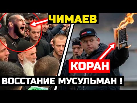 СРОЧНО! Чимаев с мусульманами РАЗНОСЯТ Швецию за сожжение Корана! Хамзат Чимаев Хабиб Нурмагомедов