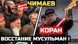 СРОЧНО! Чимаев с мусульманами РАЗНОСЯТ Швецию за сожжение Корана! Хамзат Чимаев Хабиб Нурмагомедов