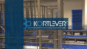 Kortlever Pizza Ball resting system