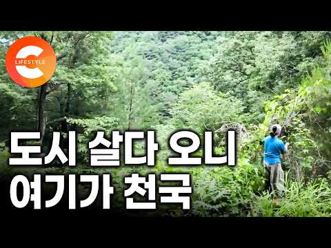 "도시 살다가 여기 오니까 천국 같아요" <strong>태백산</strong> 자락 아무도 없는 곳에 한옥을 짓고 사는 그 여자의 작은 천국ㅣ#한국기행