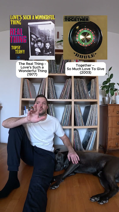 From original to house remix 🎶. #housemusic #deephouse #techhouse #dogs #pets